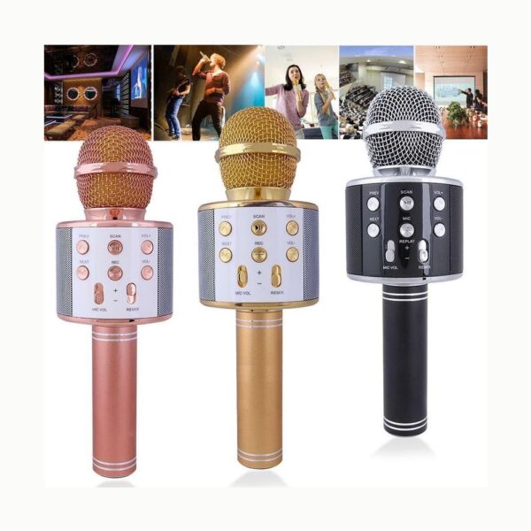 Ws – 858 Wireless Microphone With Fm-Multicolor